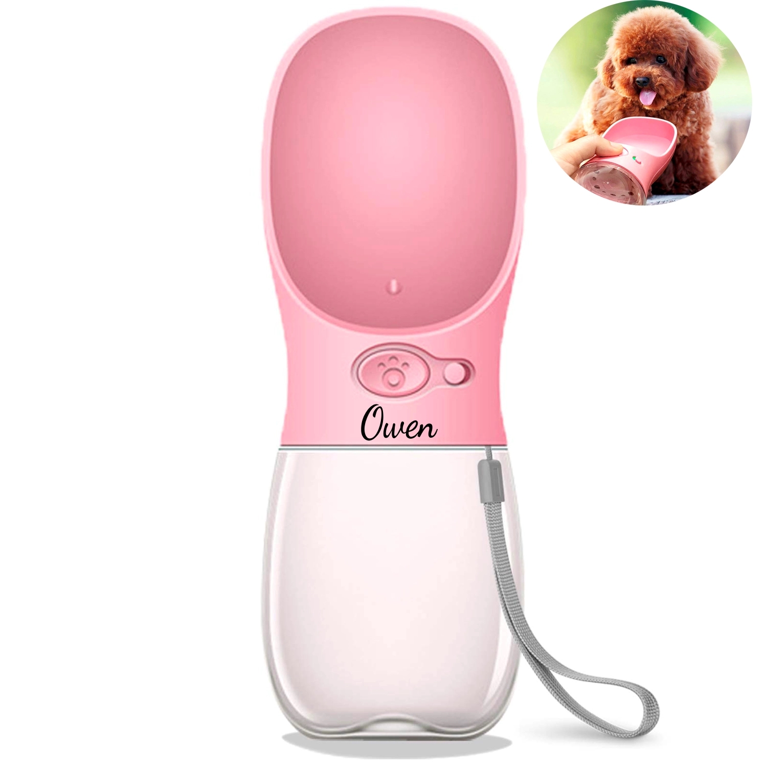 Dog Water Bottle 2