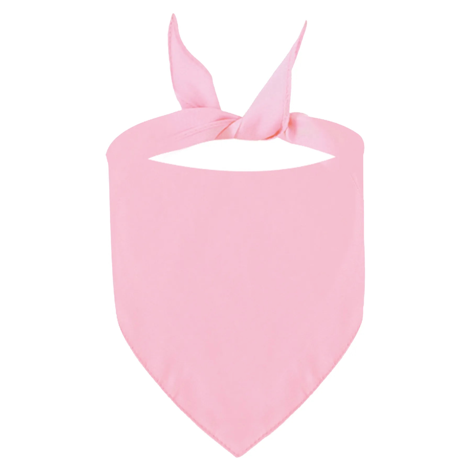 Pet Bandana 11