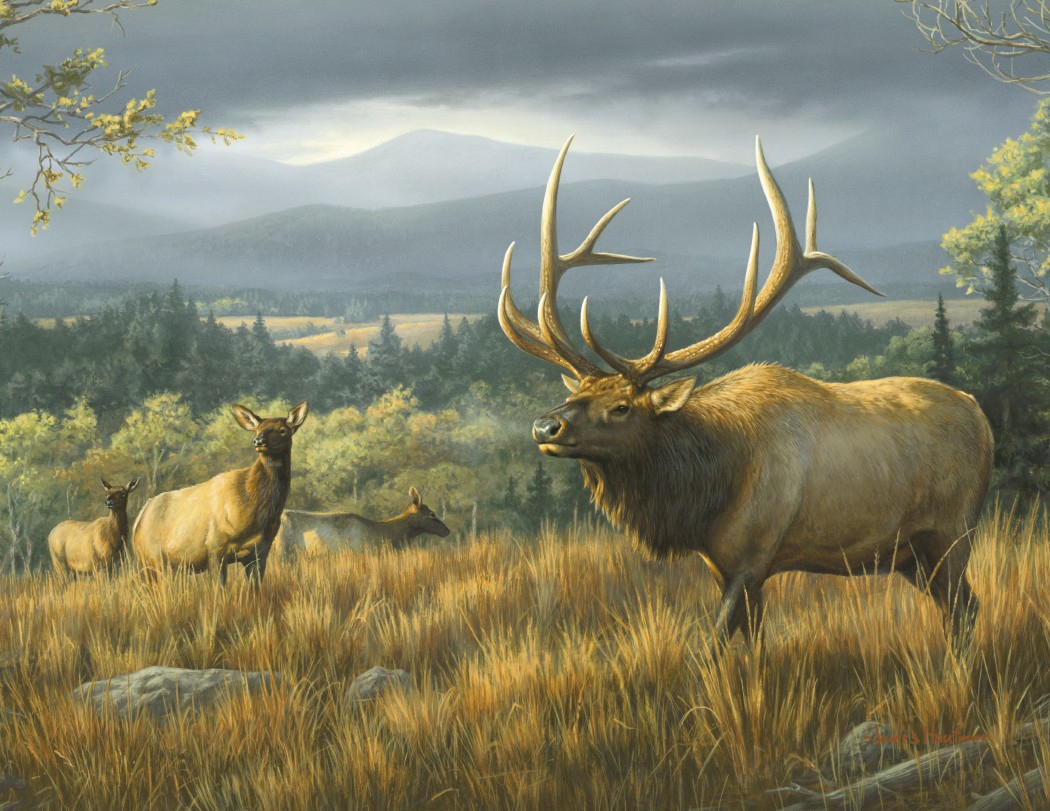 Triumph® Calendars Wildlife Art by the Hautman Brothers Calendar 9