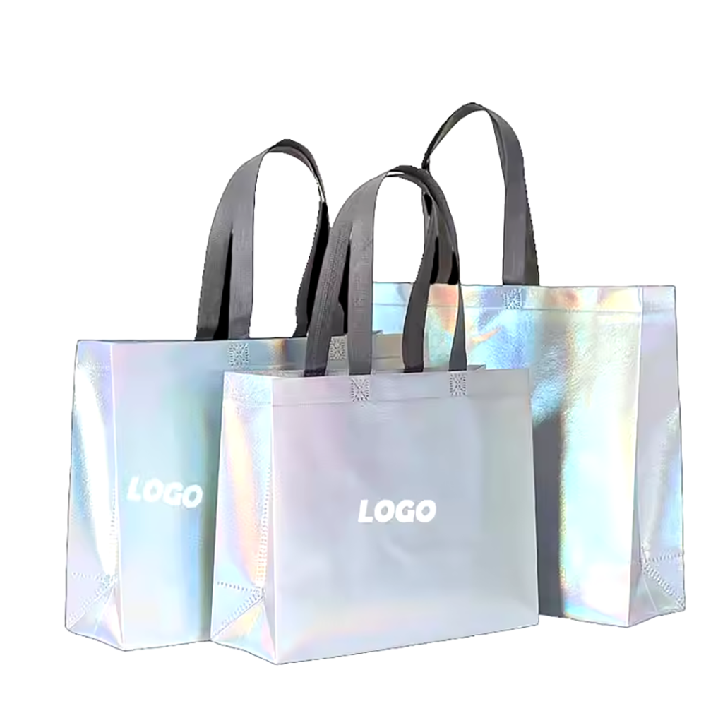 Lightweight WaterproofReflective Handbag 1
