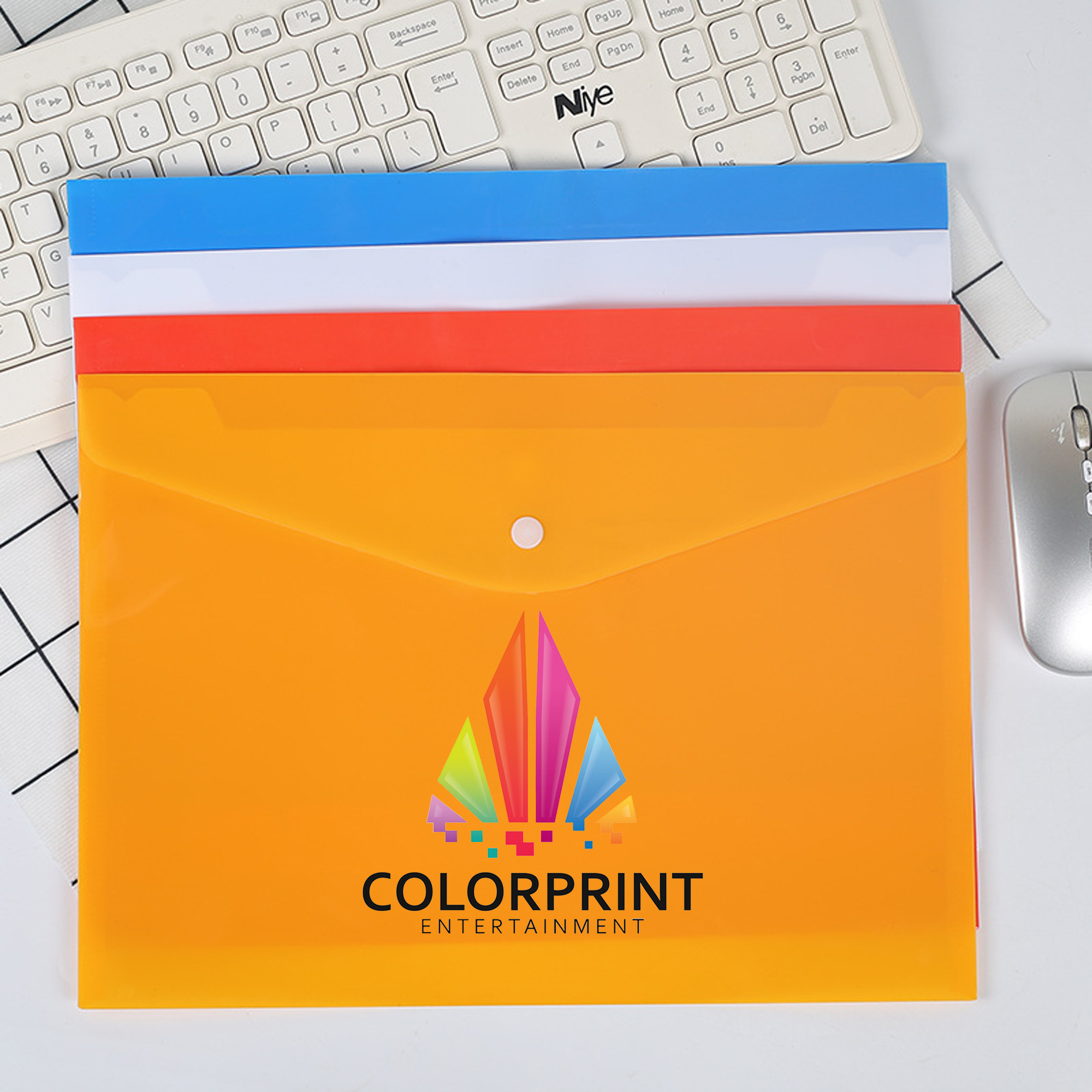 MOQ100 Waterproof Plastic File Folder 2