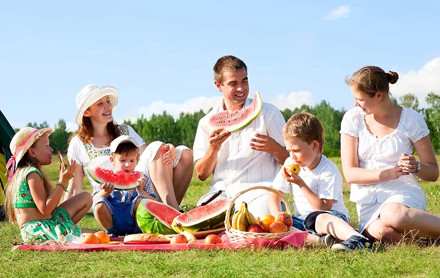 Picnic Blanket 1