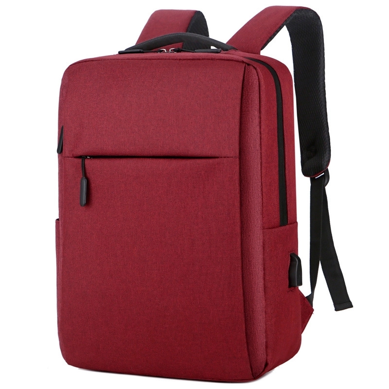 Laptop Backpack 2