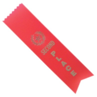 Second Place Ribbon 2" x 8" 2
