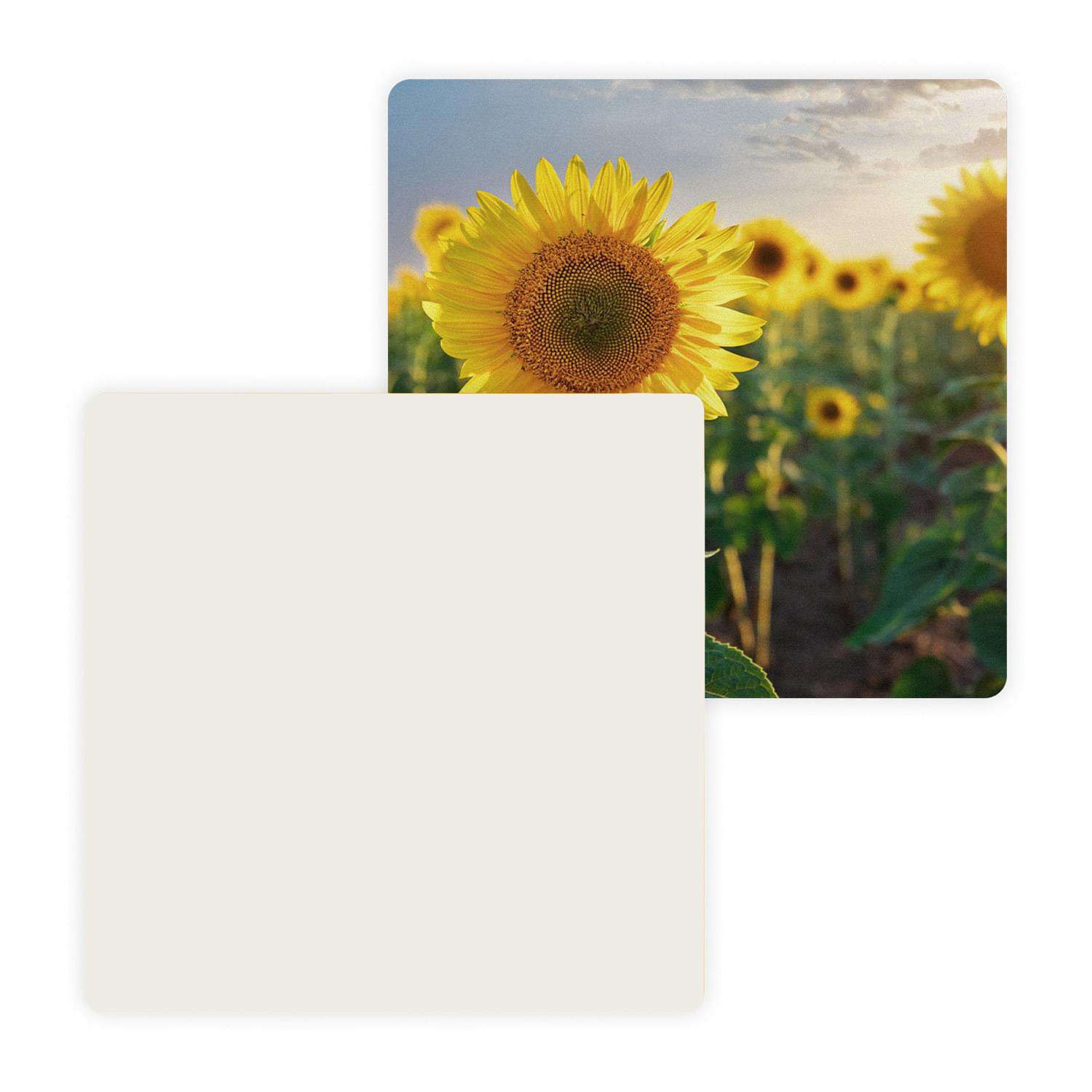 4" Pulpboard Square Coaster (Full Color on 1 Side) 2