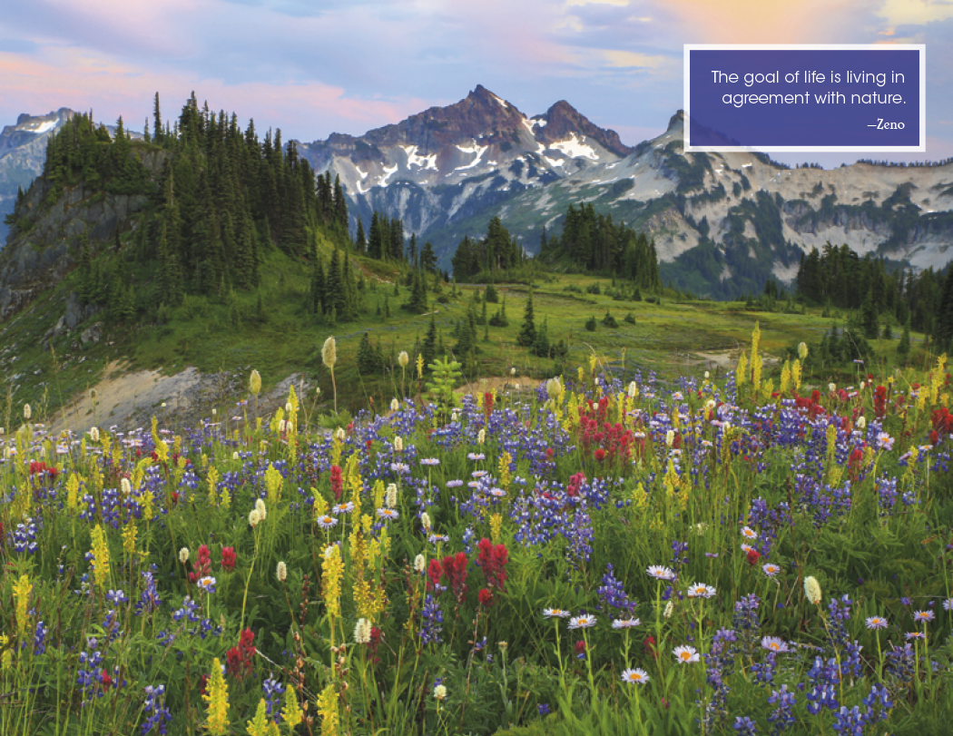 Good Value™ Inspirations for Life - Window Calendar 2