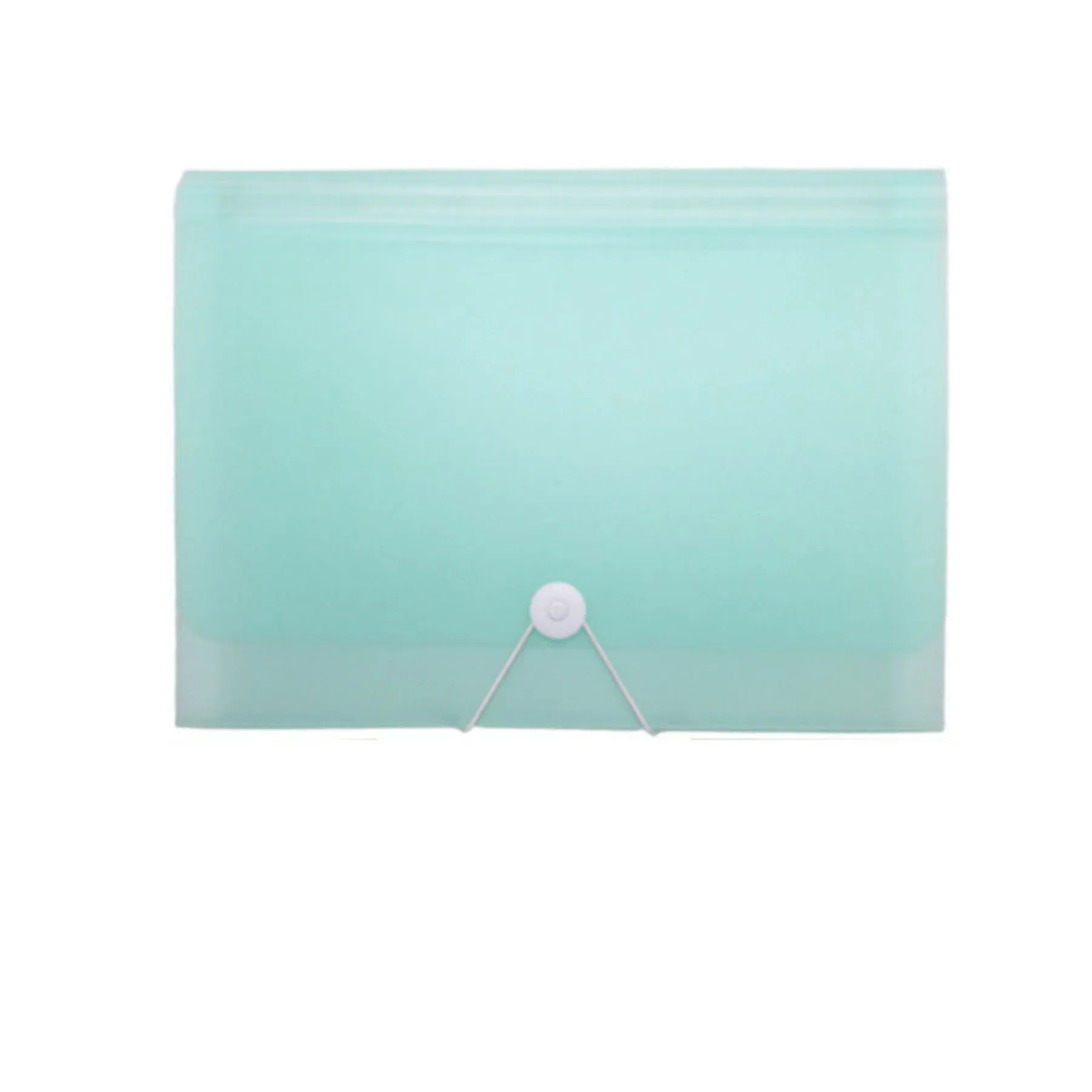 Expanding Accordian Organizer File Folder 12