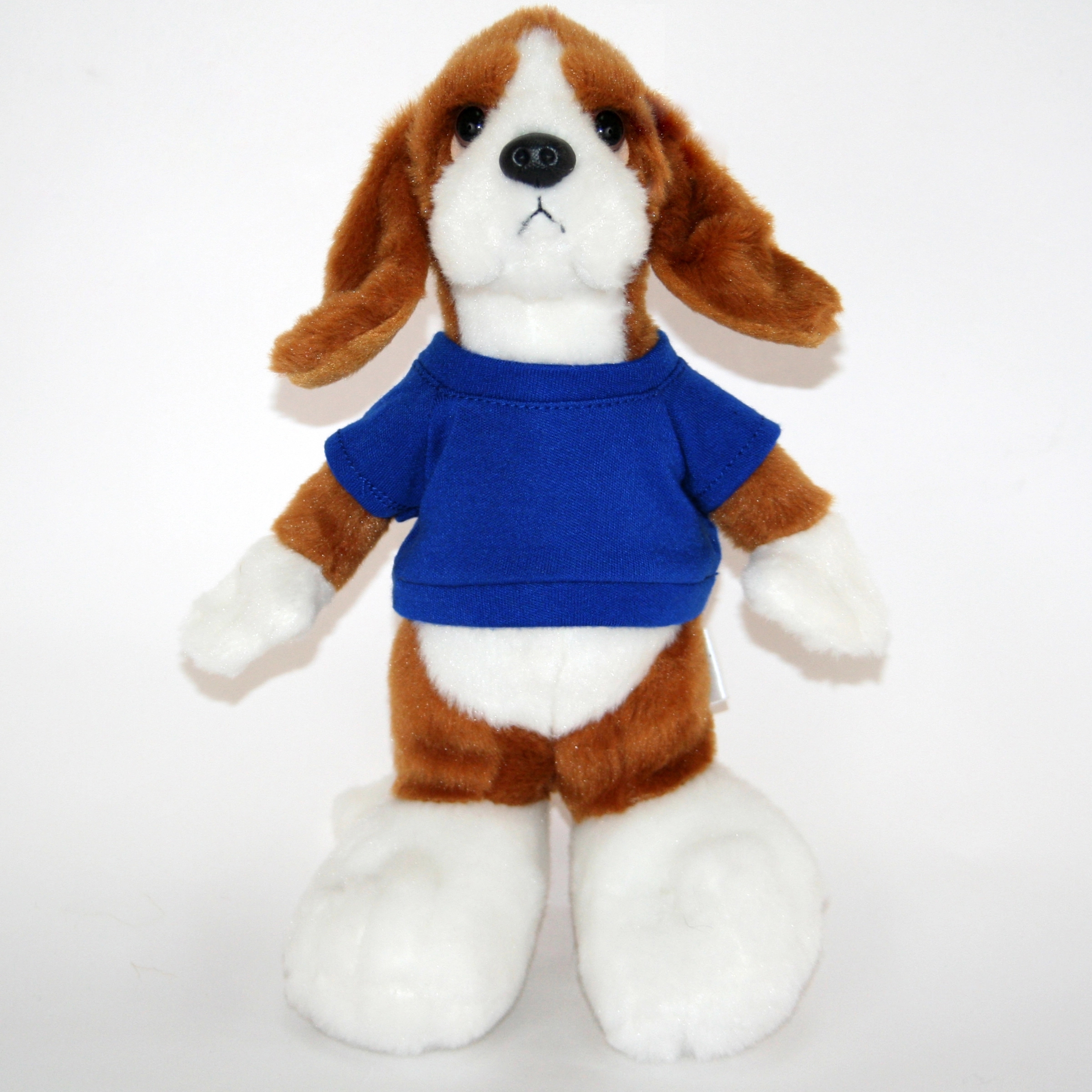 10" Long Body Beagle 9
