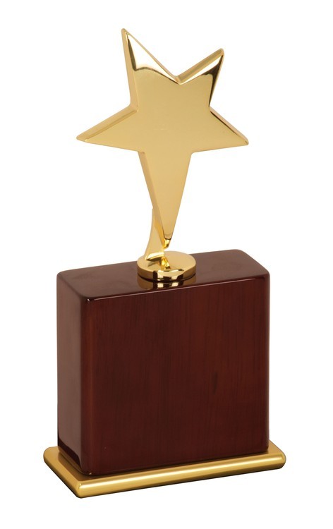 8" Gold Polished Star Award 2