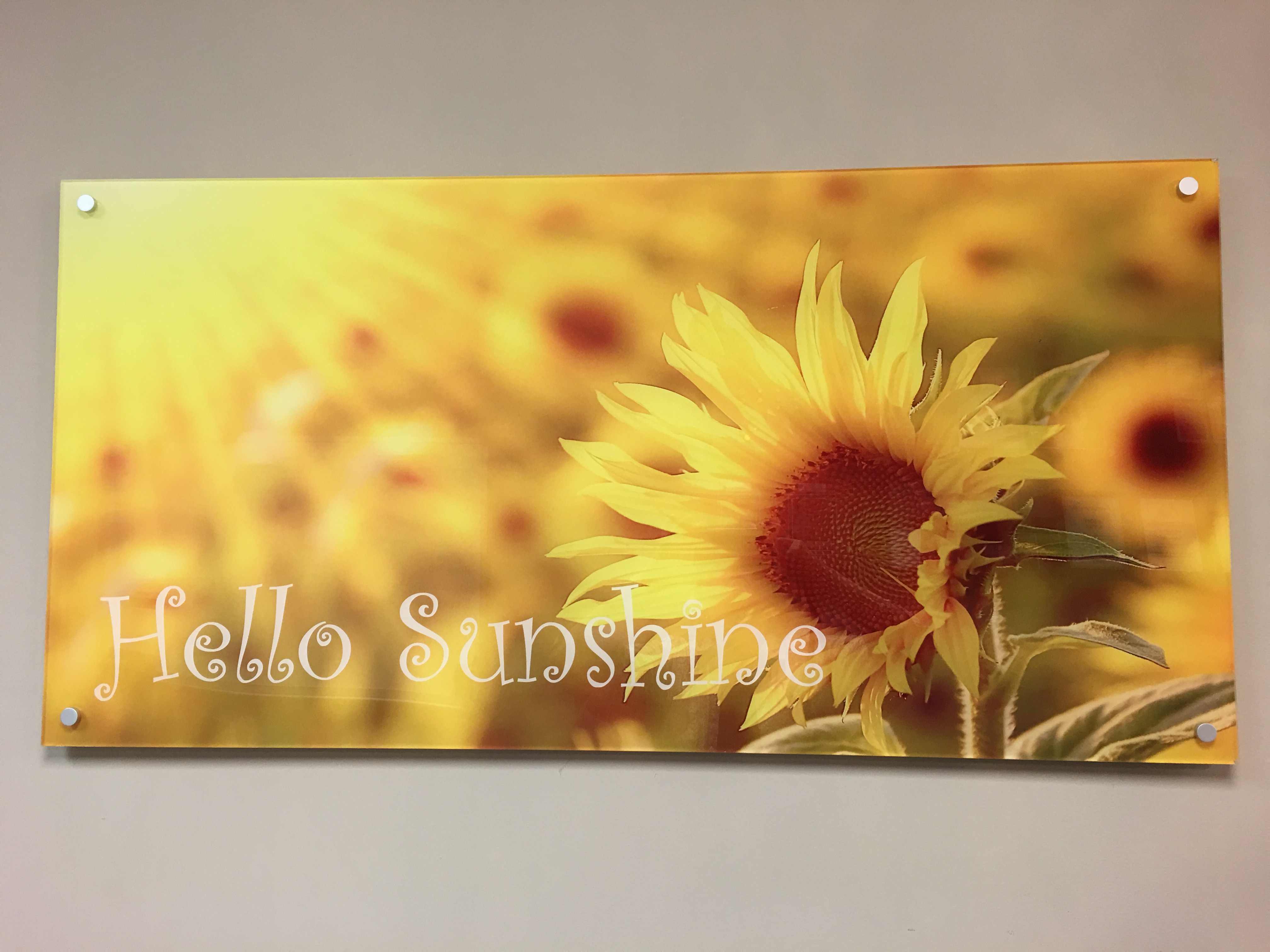 Sign Gallery 160 2