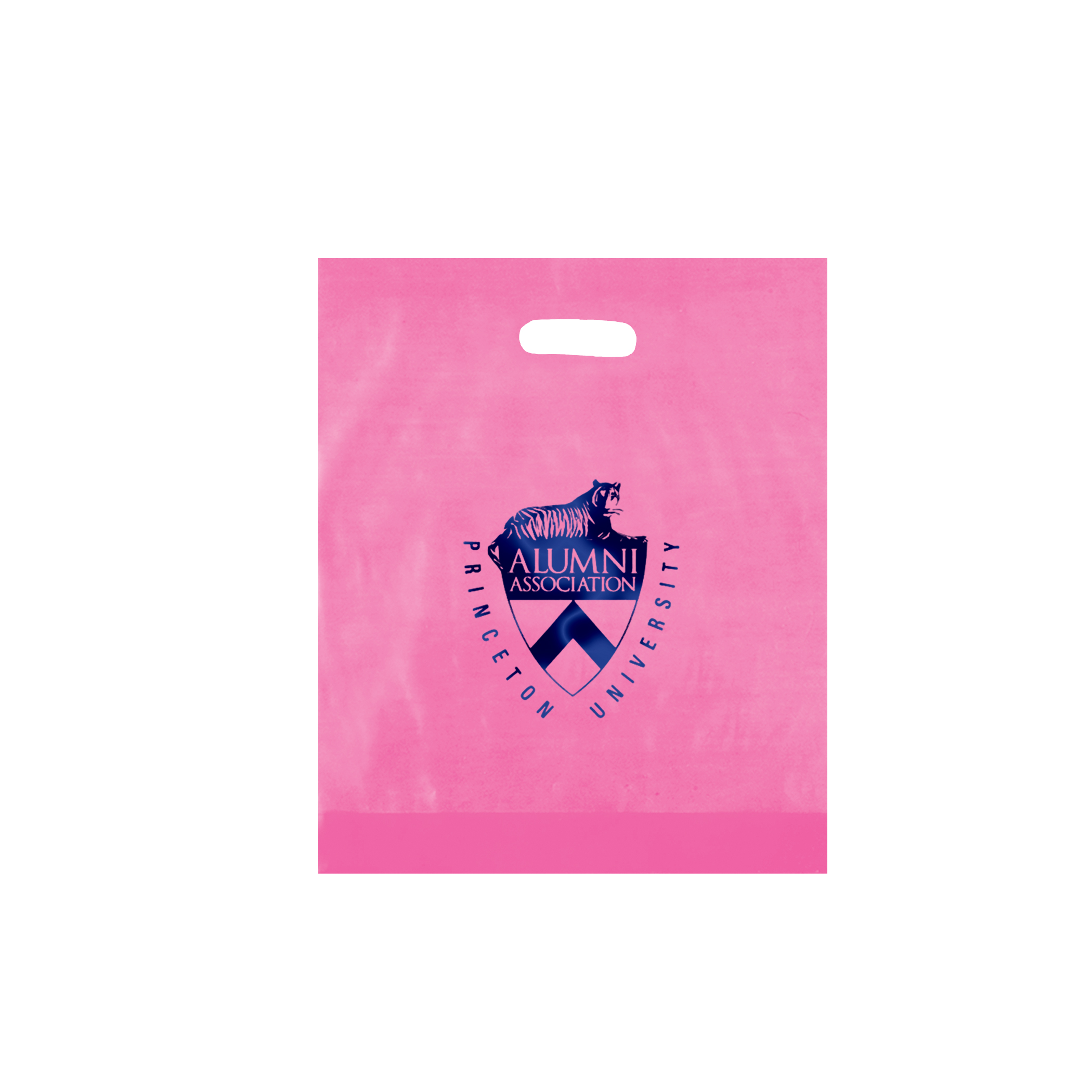 Non Reinforced HDPE Frosted Die Cut Bag 2