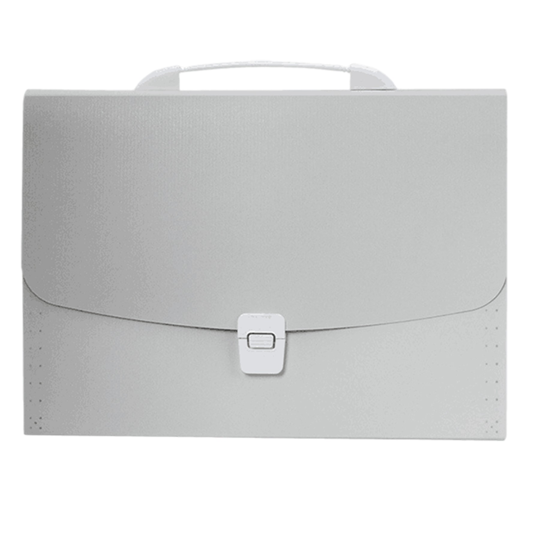 Portable Translucent Folder Bag 7