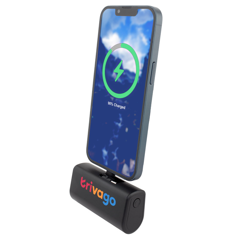 Dual Plug Power Bank 14