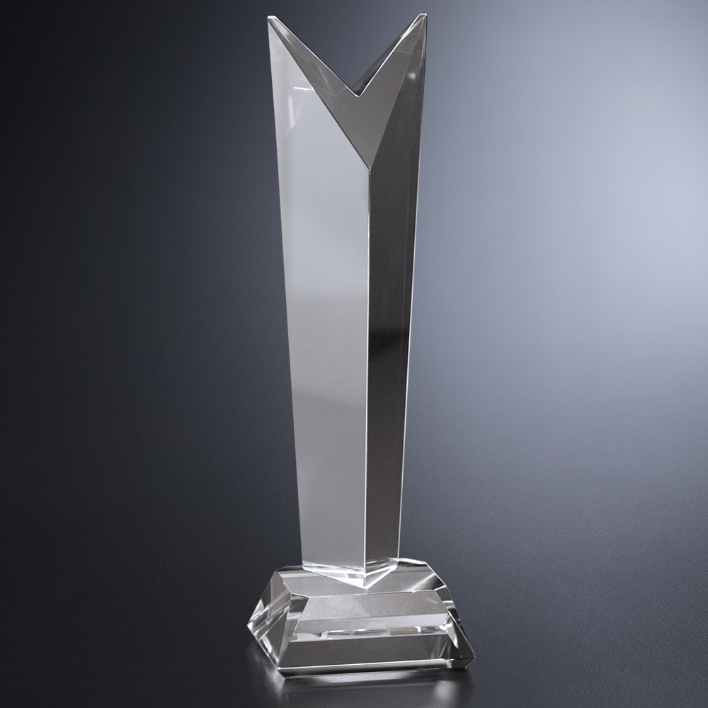 Vincent Award 9