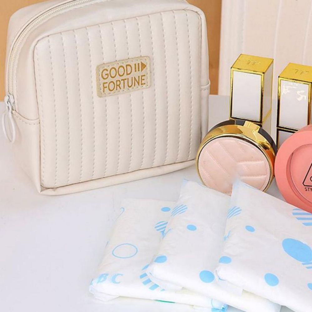 Sanitary Napkin Organiser 5