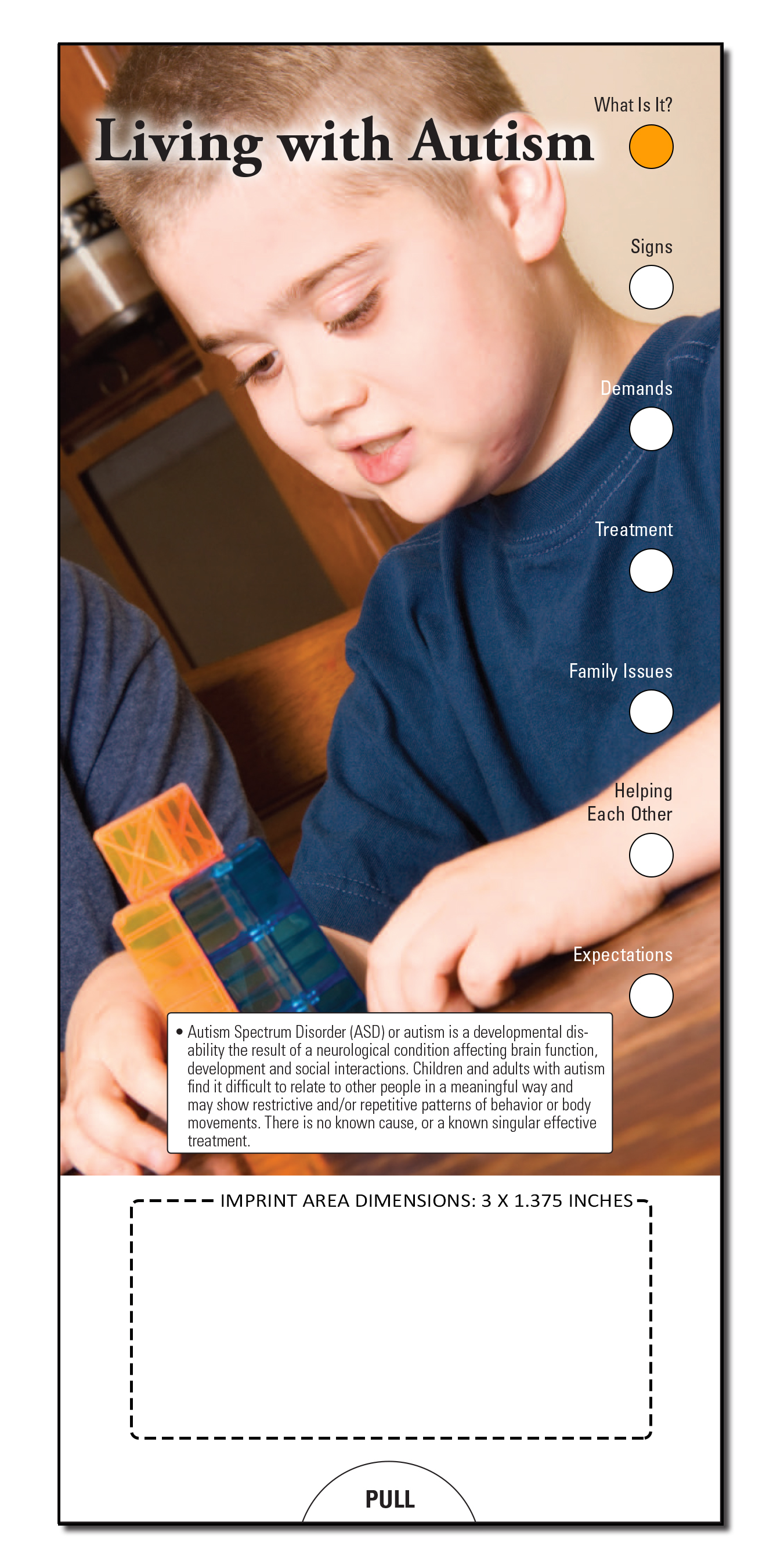SLIDE CHART - Living with Autism Slide Chart 4