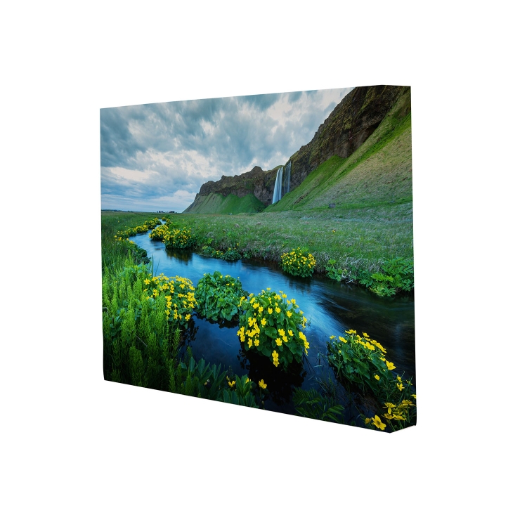 11" x 14" Canvas Print 6