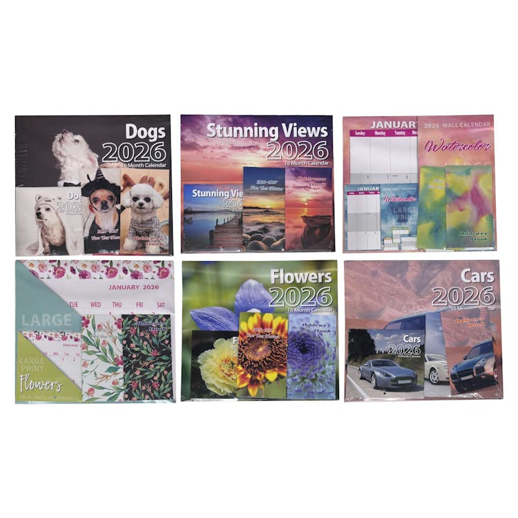 2026 Calendar Set - 4 Pack Assorted Designs 2