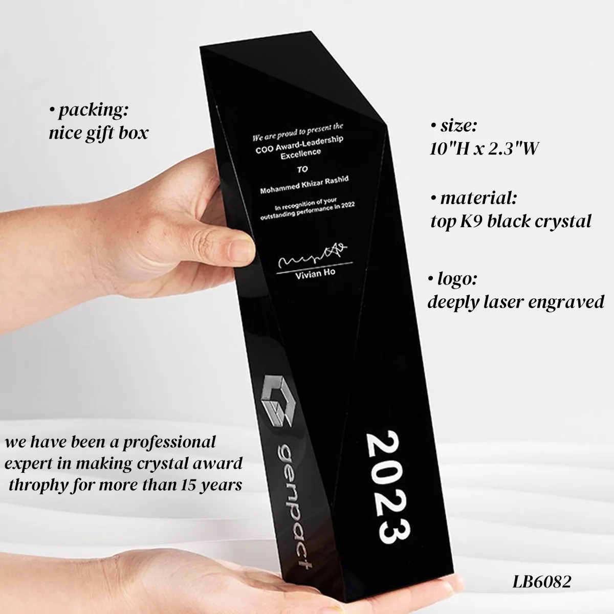 Black Crystal Award Trophy for Appreciation Plaque 5