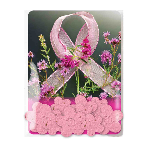 Confetti Gift Pack