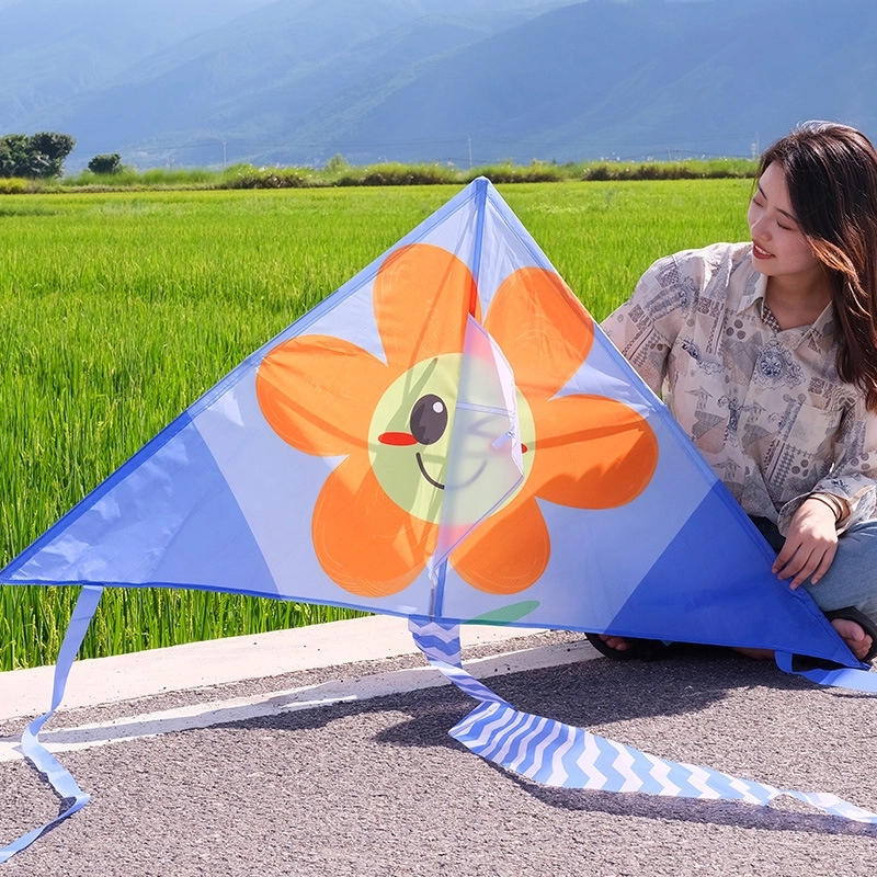 Xl Delta Jumbo Kite - 40" X 20" 6