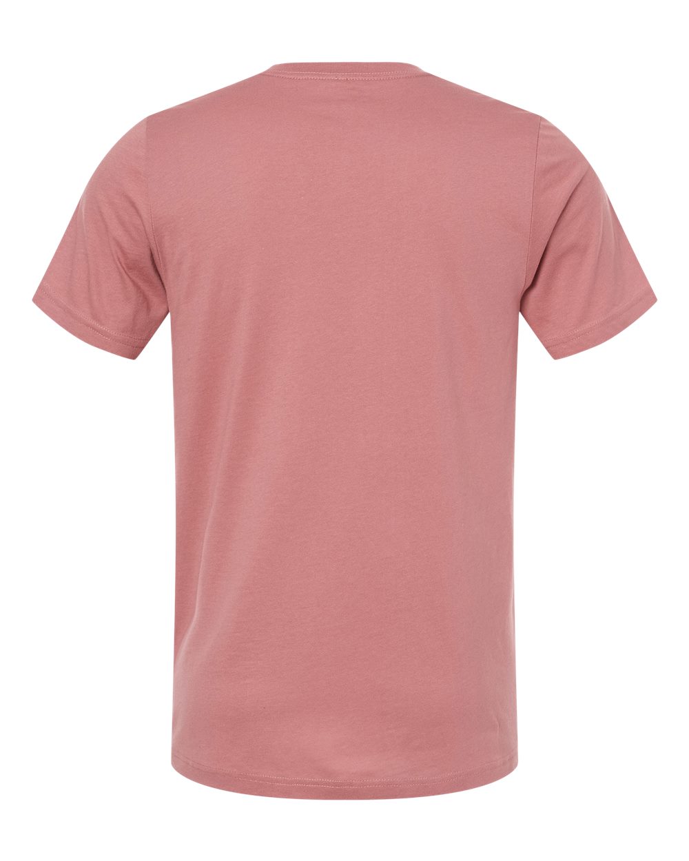 Unisex Jersey V-Neck Tee - 3005 42