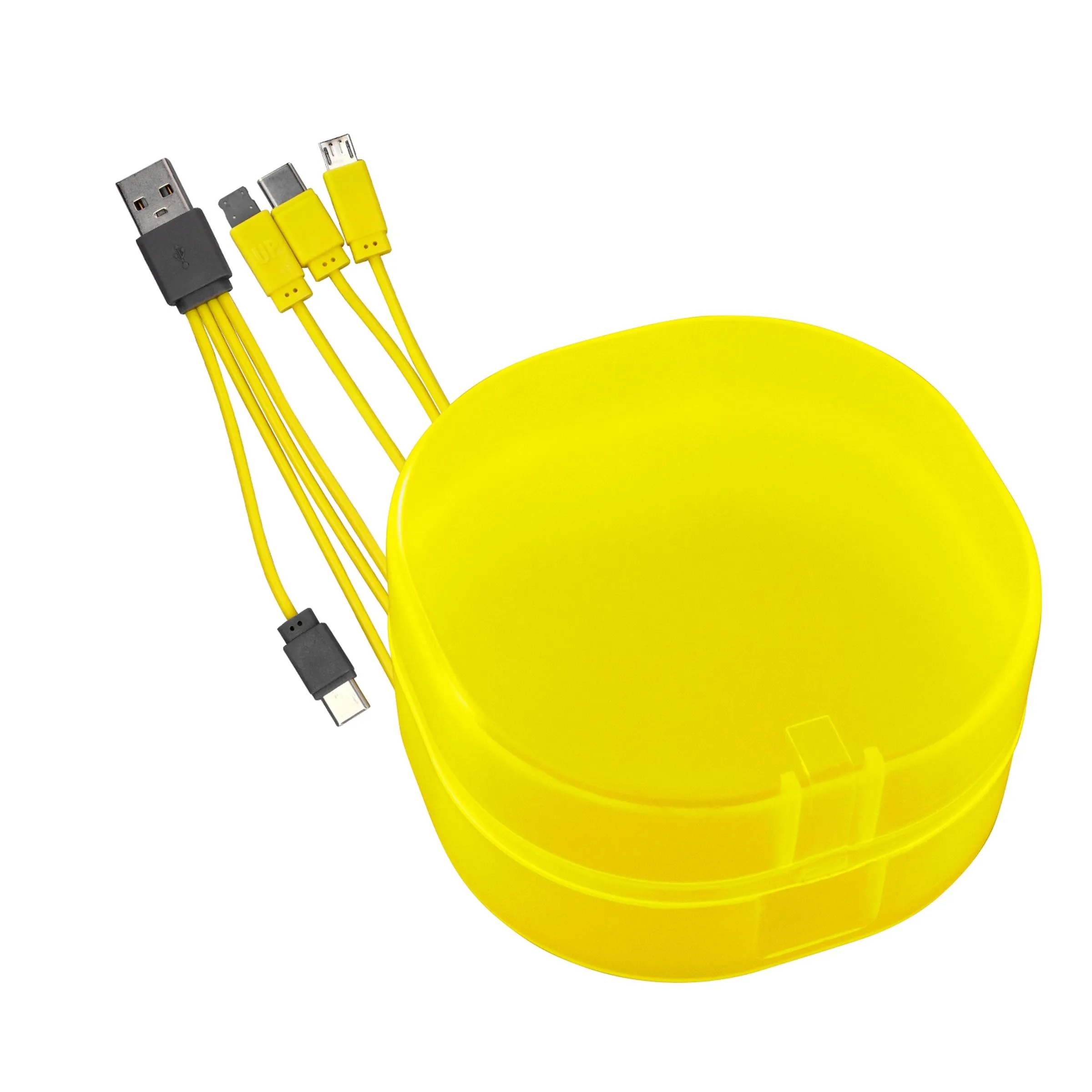 4-IN-1 CARRY ALL CABLE SET 10