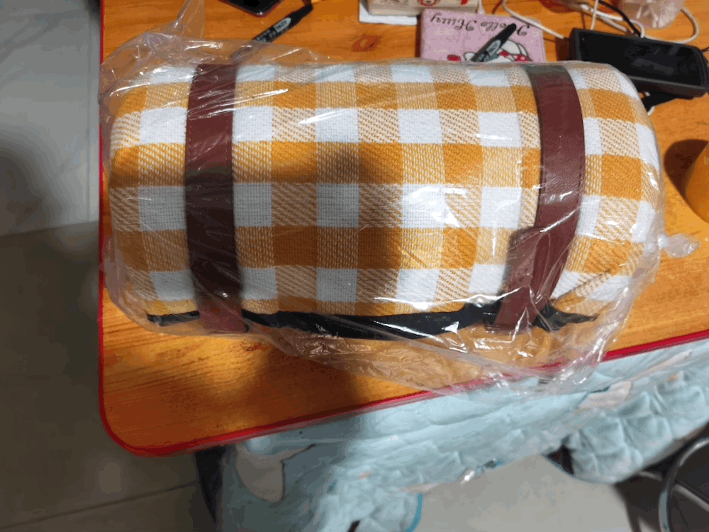 Outdoor Blanket for 6 to 8 Adults 2