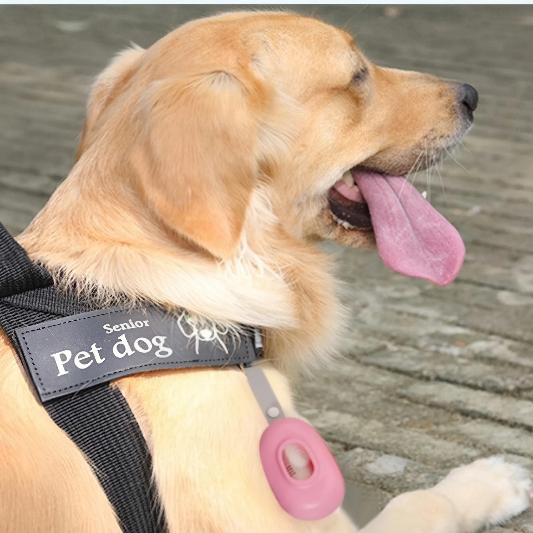 Portable Silicone Doggy Poop Bag Case 3