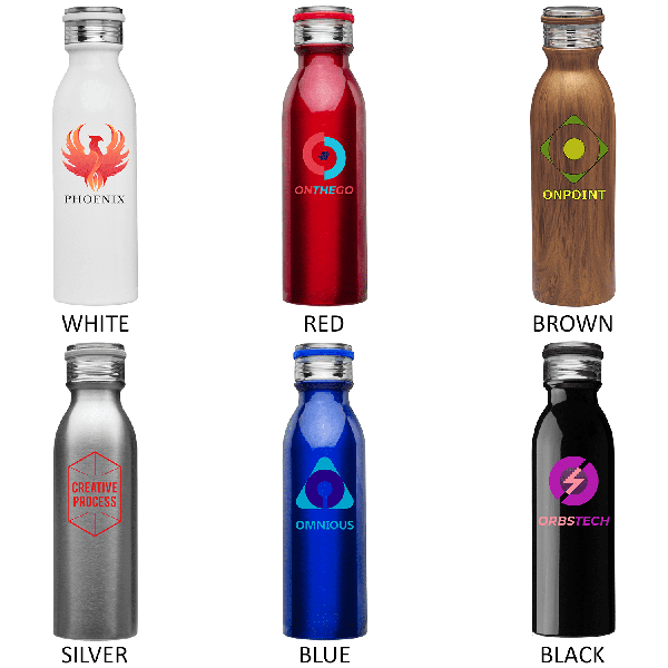 Stainless Steel Water Bottle - Double Wall Vacuum 13