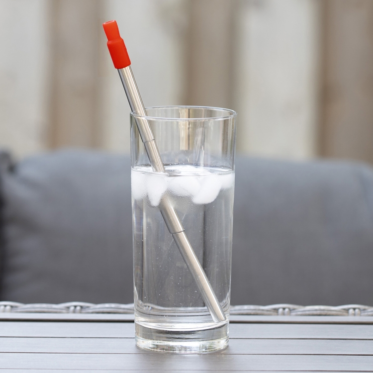 "Eco-Collapsible Straw" 8" Reusable Stainless Steel Straw 45