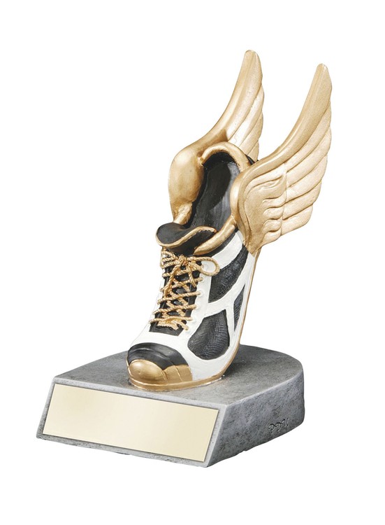 Track Color Tek Figure Award 2