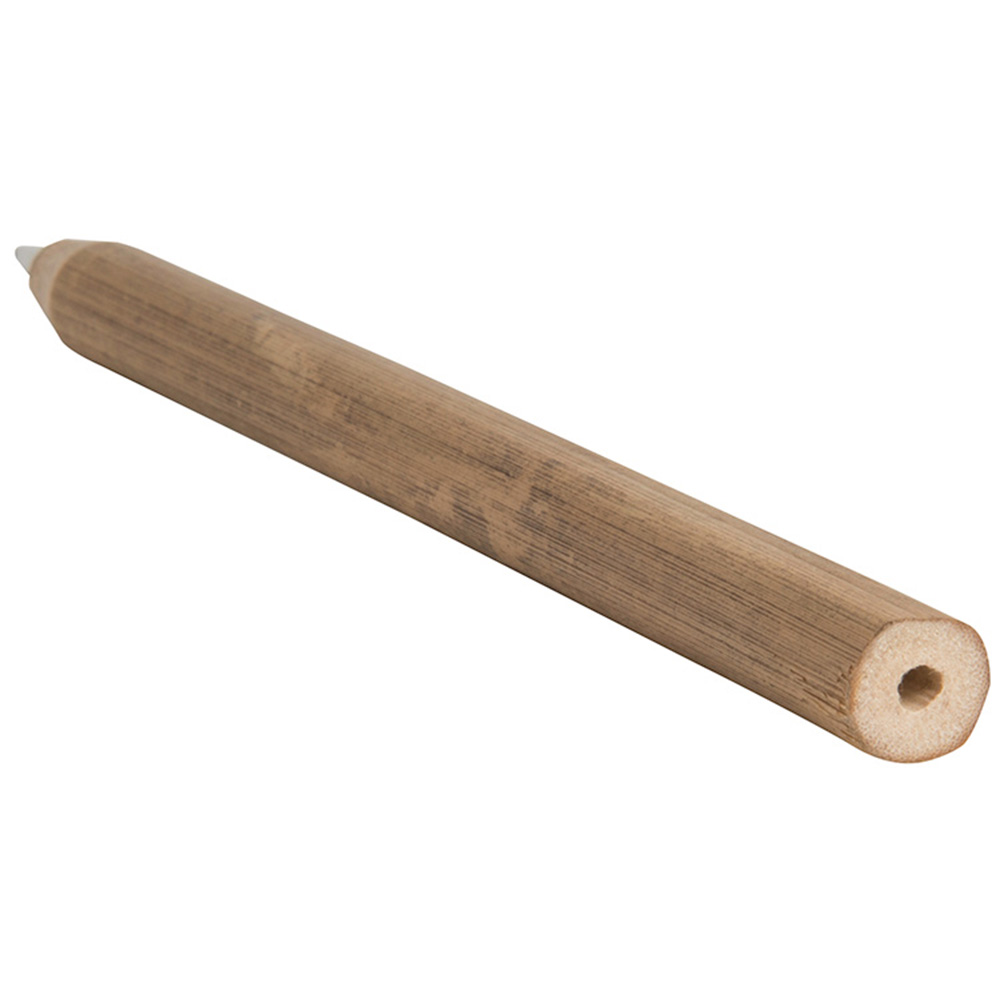 Bamboo Pen 1