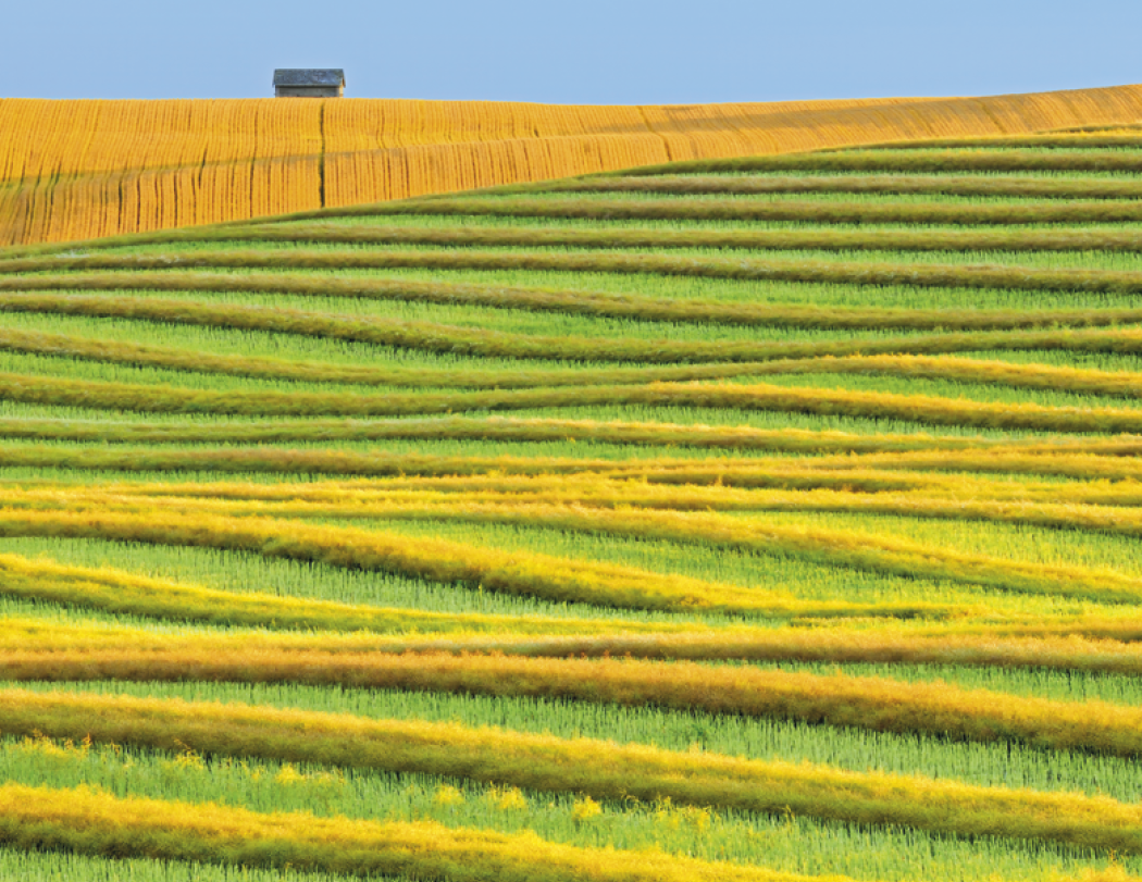 Good Value™ Agriculture - Spiral Calendar 49