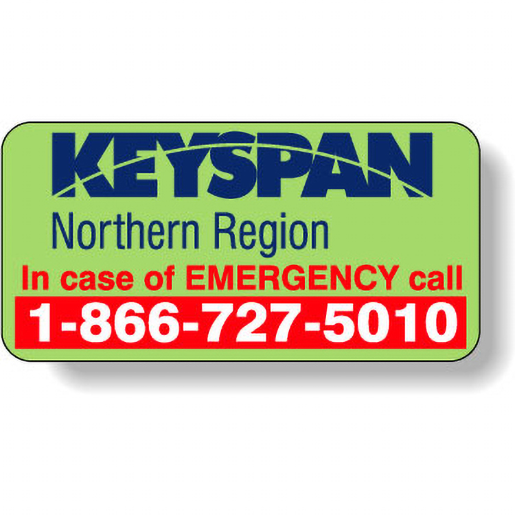 Fluorescent Green Flexo-Printed Stock Rectangle Roll Labels (1"x2")