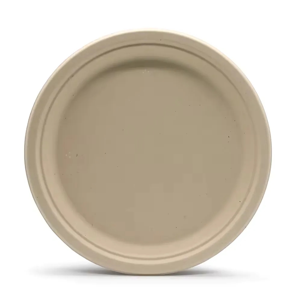 9" Eco-Friendly Paper Plate 4