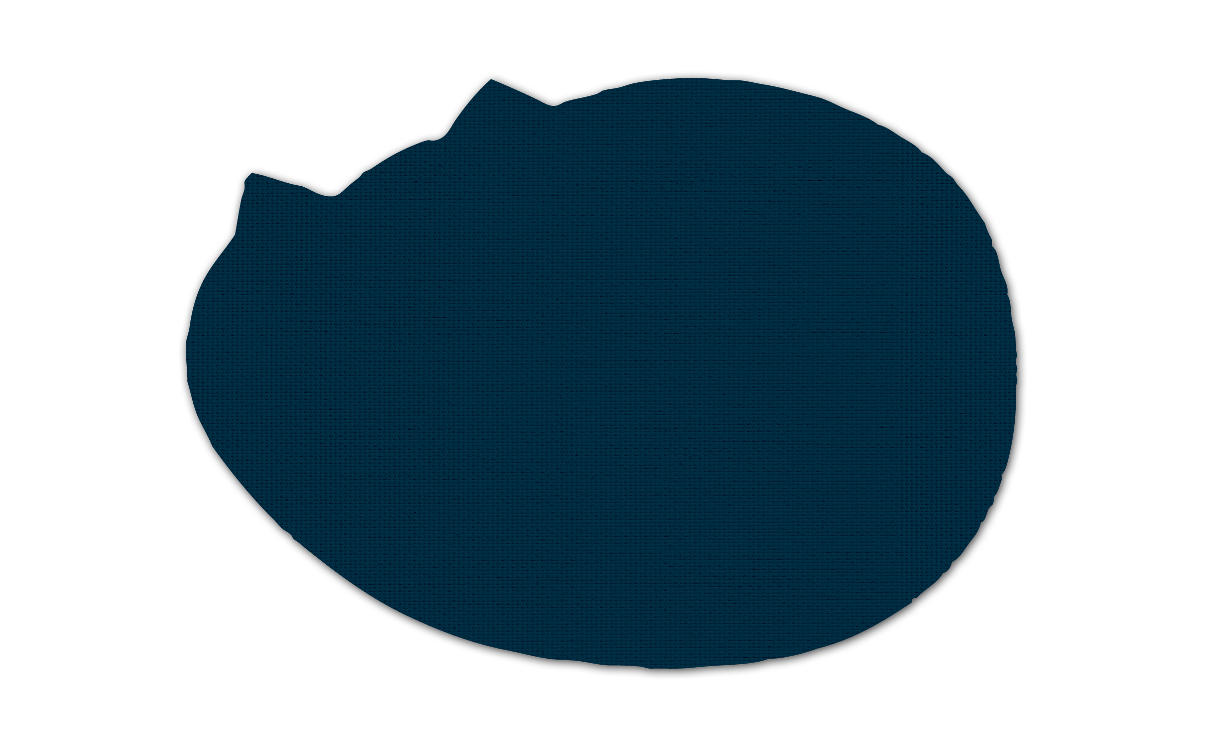 Cat Vinyl Jar Opener 28