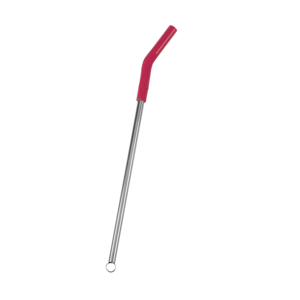 Reusable Stainless Steel Straw Set 6