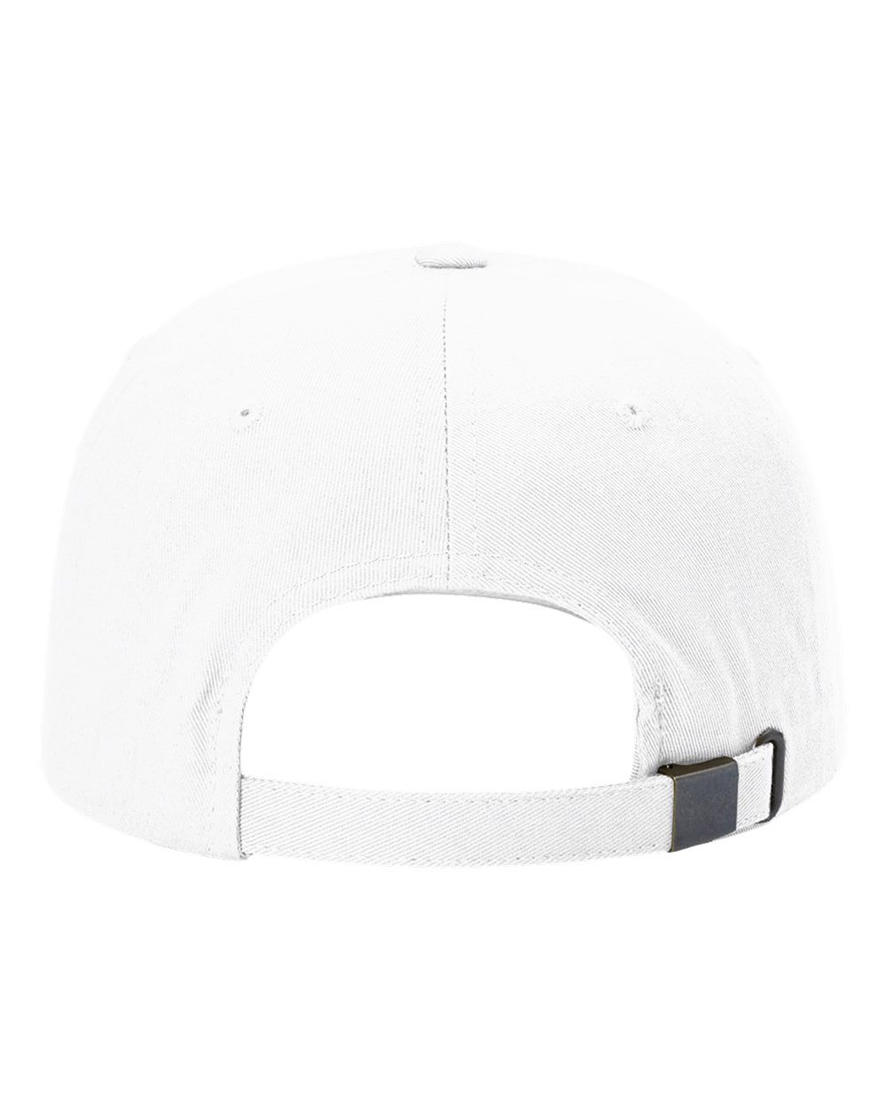 Sustainable Ashland Dad Hat - 254RE 4