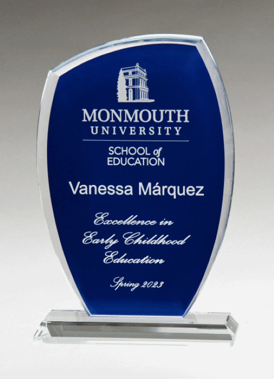 Guardian Award-Blue 1