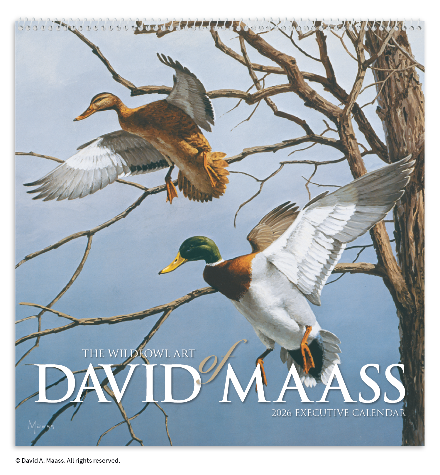 HotLine® Products David Maass Executive Calendar 21