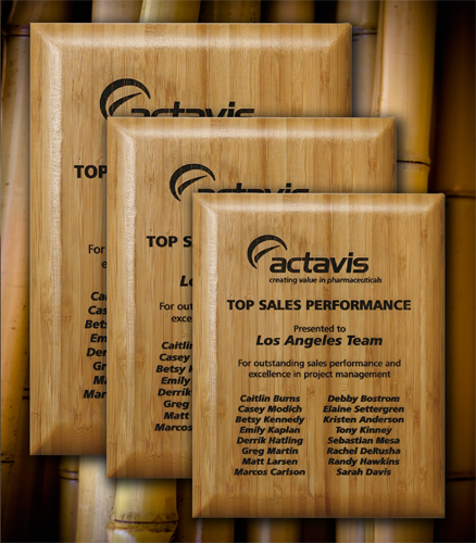 Bamboo Laser Plaque 6
