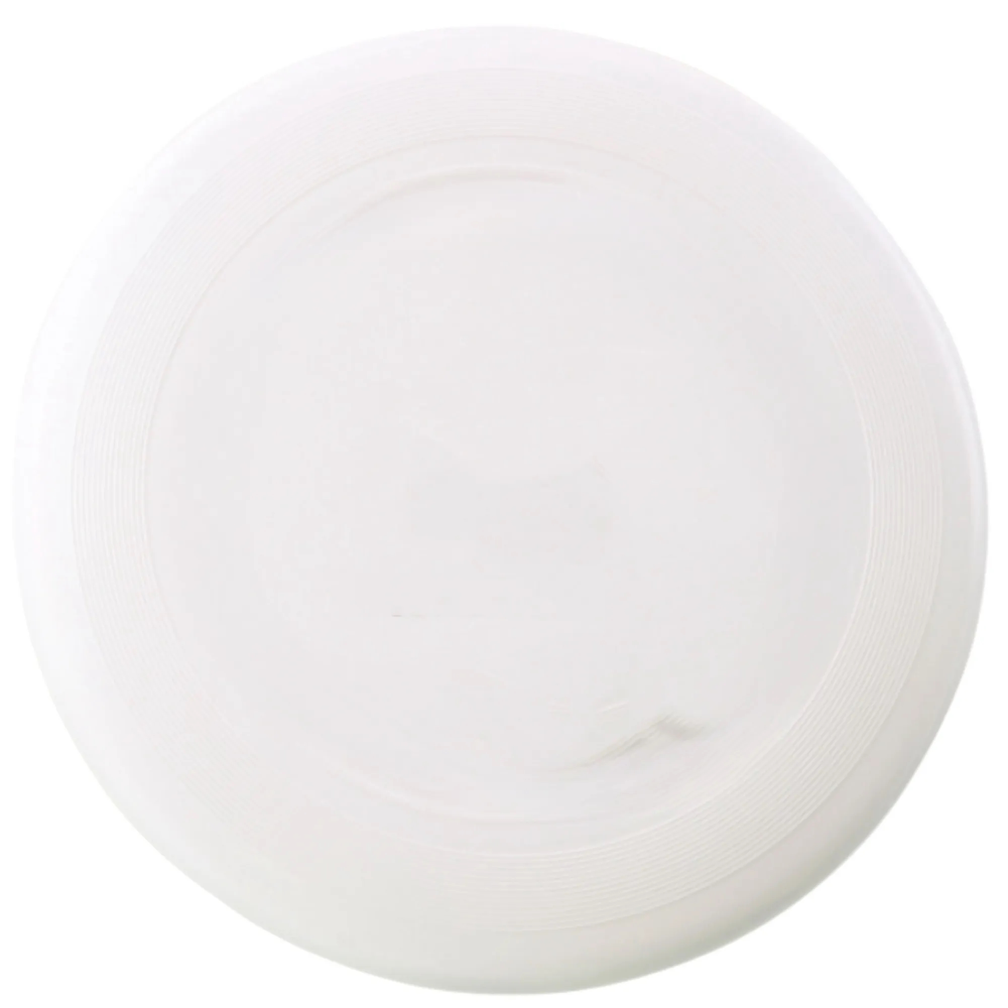 Dog Flying Disc 1