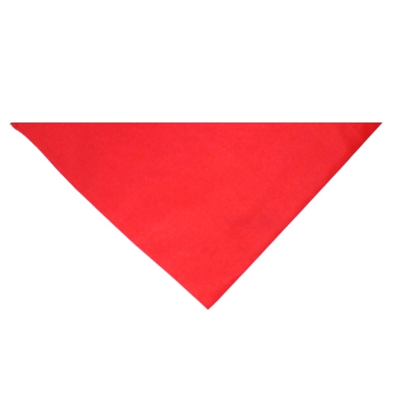 Dog Triangle Bandana 9