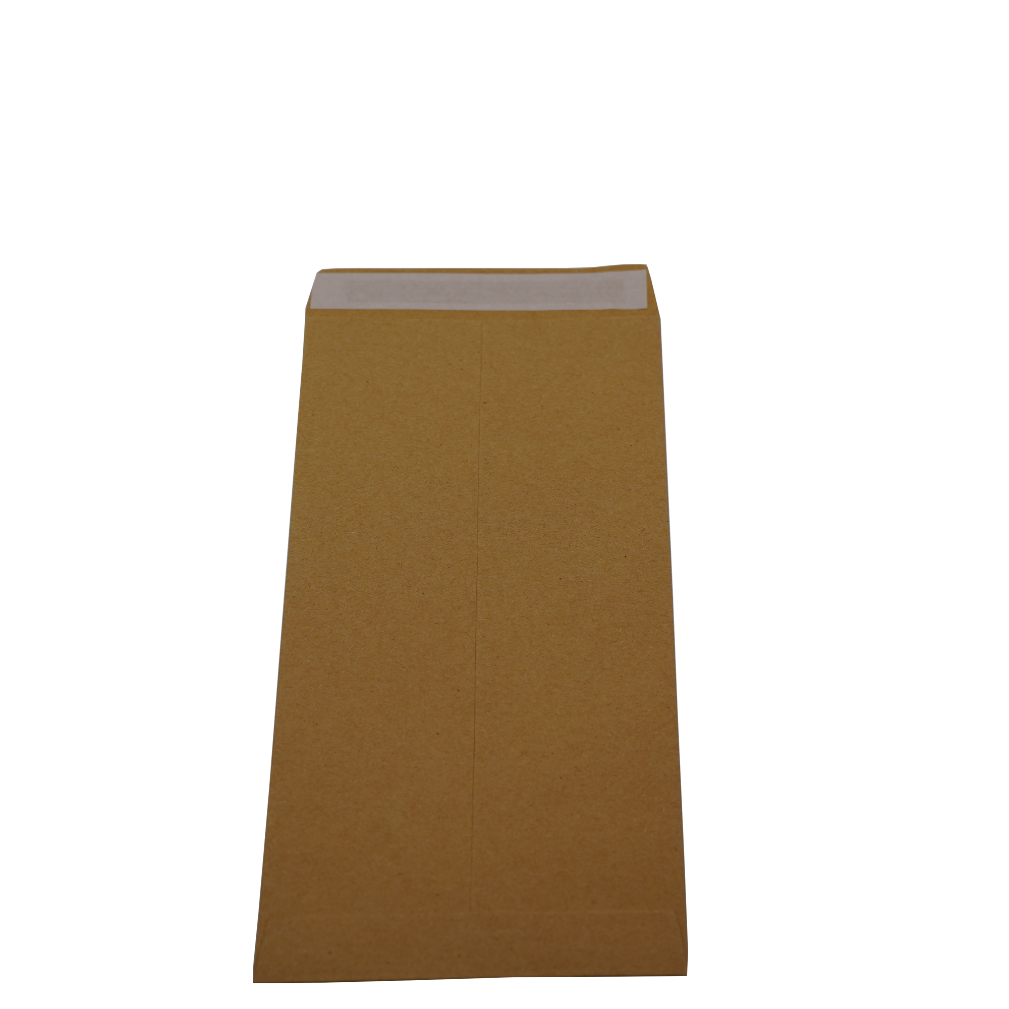 A4 Kraft Self Seal Mailer Envelopes 2