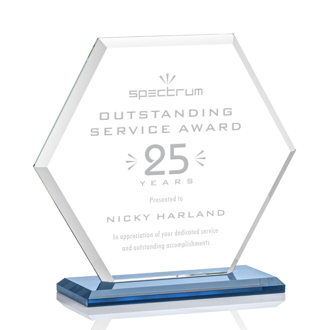 Barnett Award - Sky Blue 13