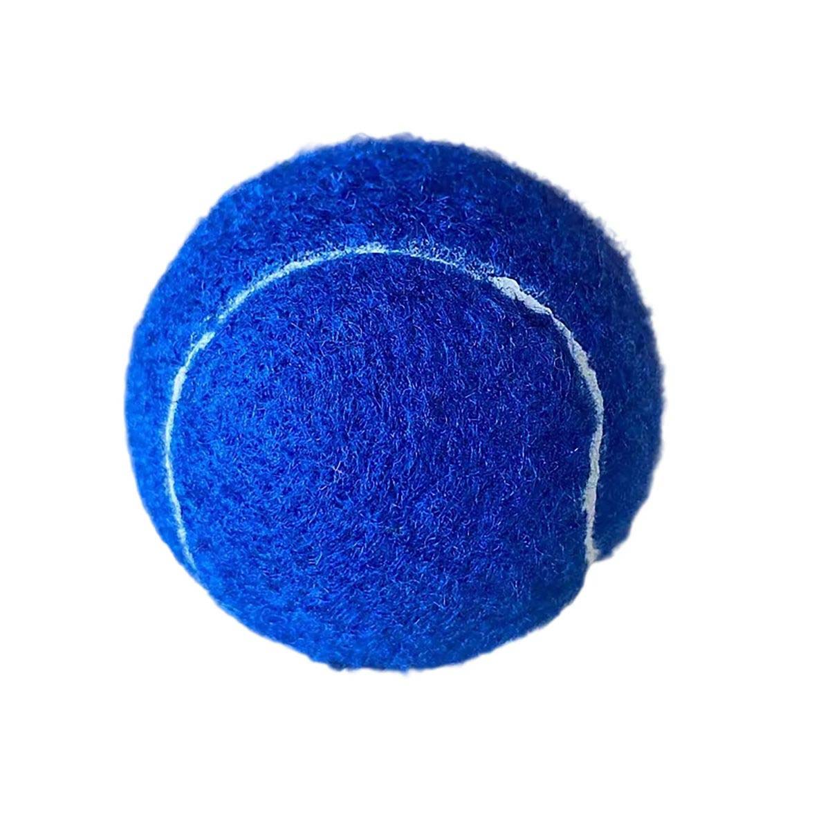 2.5 Inch Rubber Dog Ball for Training and Fetch 6