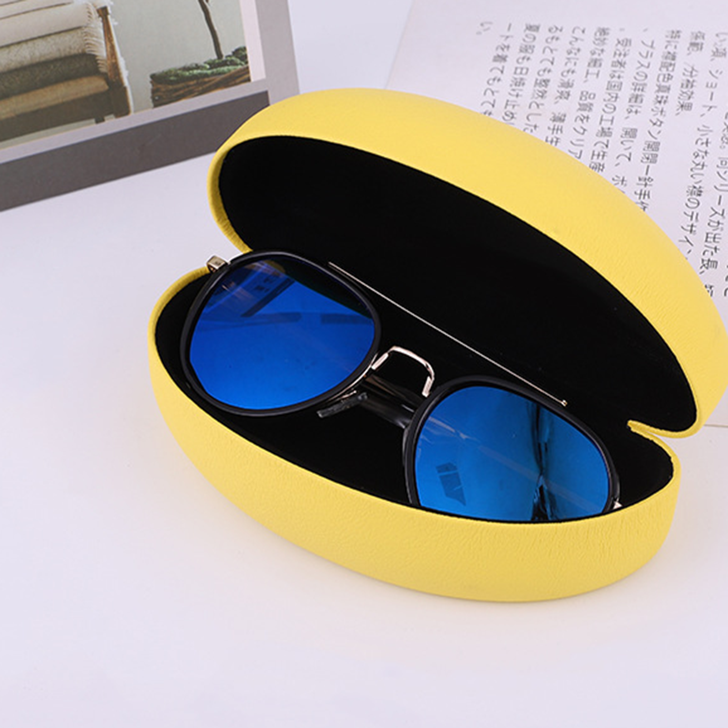 Eyeglass Case 3