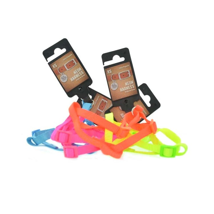 Neon Pet Harnesses - Assorted Extra Small 3