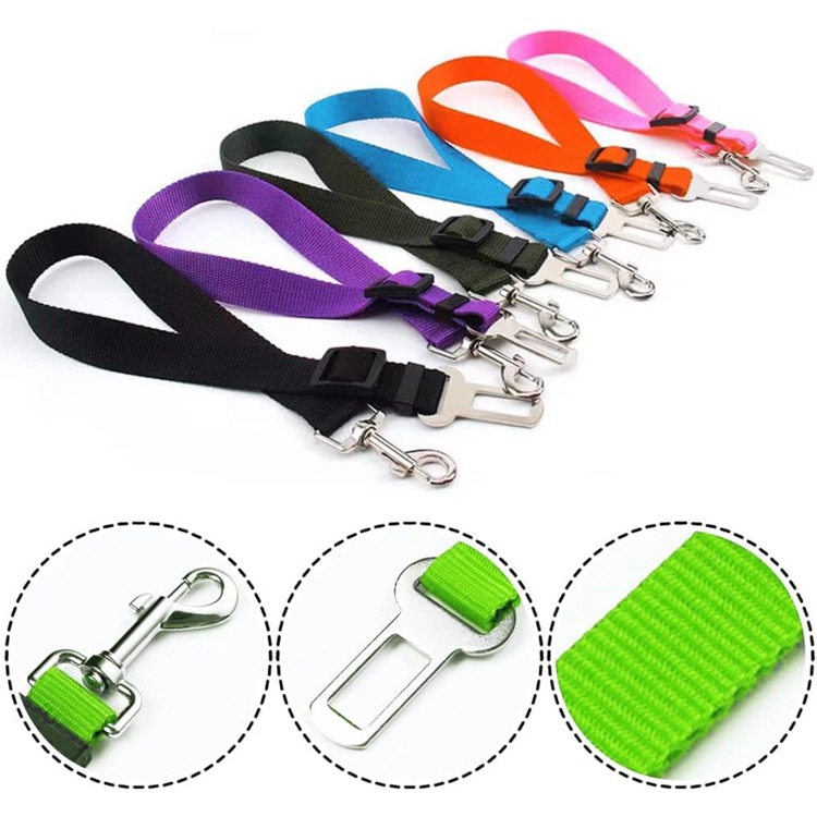Medium and Large Dog Traction Rope 7